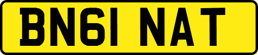 BN61NAT