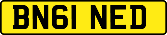 BN61NED