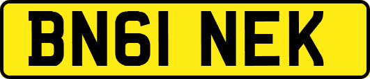 BN61NEK