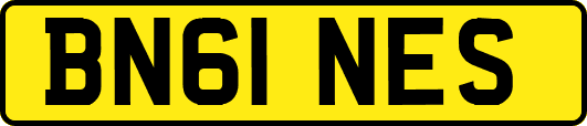 BN61NES