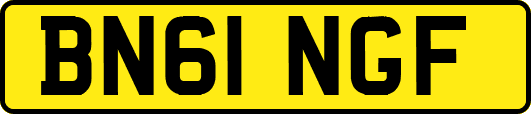 BN61NGF