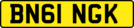 BN61NGK