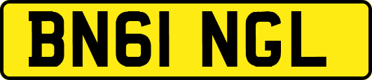 BN61NGL