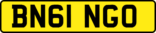 BN61NGO