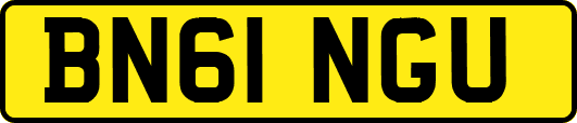 BN61NGU