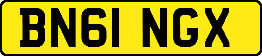 BN61NGX