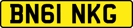 BN61NKG