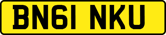 BN61NKU