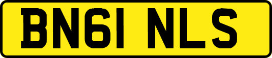 BN61NLS