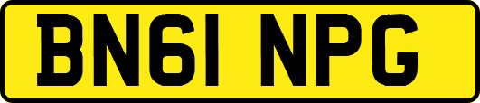BN61NPG