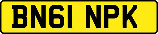 BN61NPK