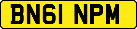 BN61NPM