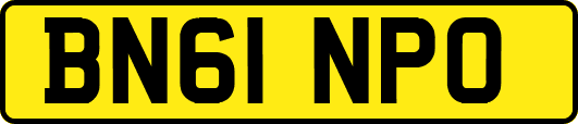 BN61NPO