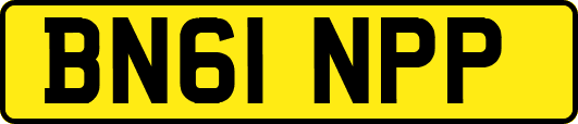 BN61NPP