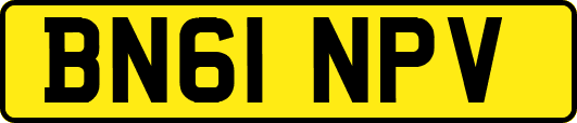 BN61NPV