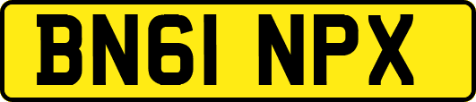 BN61NPX