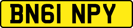 BN61NPY