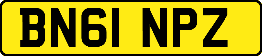 BN61NPZ