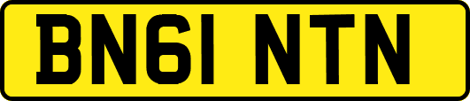 BN61NTN