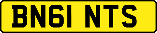 BN61NTS