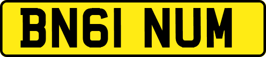 BN61NUM