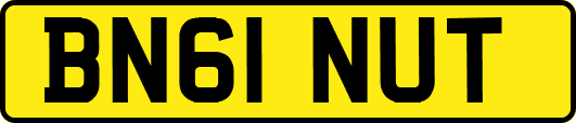 BN61NUT