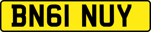 BN61NUY