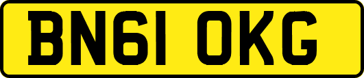 BN61OKG