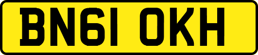 BN61OKH