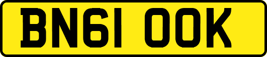 BN61OOK