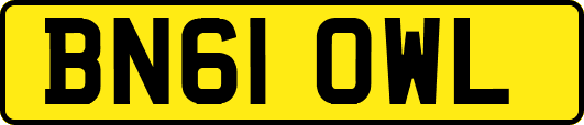 BN61OWL
