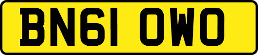 BN61OWO