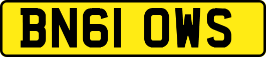 BN61OWS