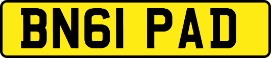 BN61PAD