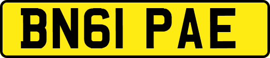 BN61PAE
