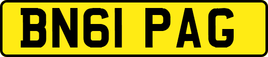 BN61PAG