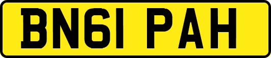 BN61PAH