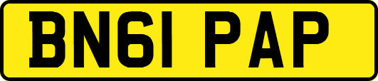 BN61PAP