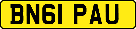 BN61PAU