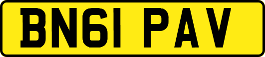 BN61PAV