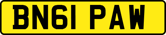 BN61PAW