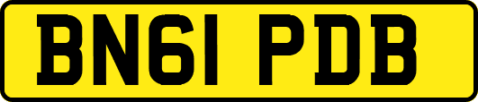 BN61PDB