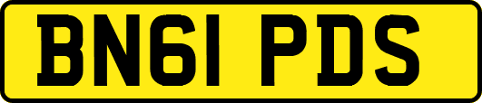 BN61PDS