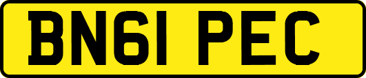 BN61PEC