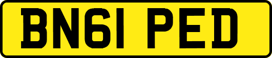 BN61PED
