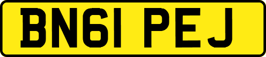 BN61PEJ