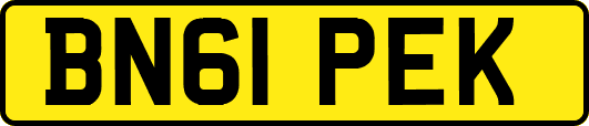 BN61PEK