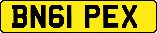 BN61PEX