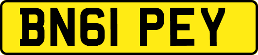 BN61PEY