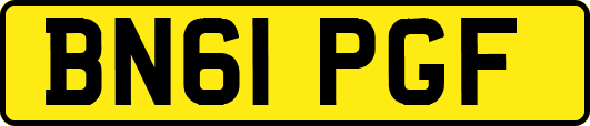 BN61PGF